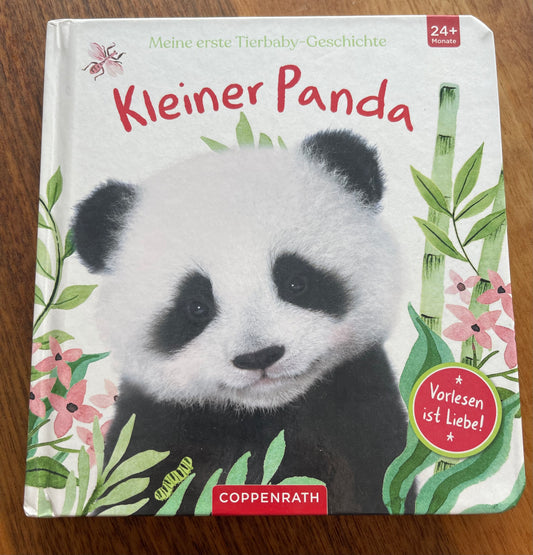 Kleiner Panda