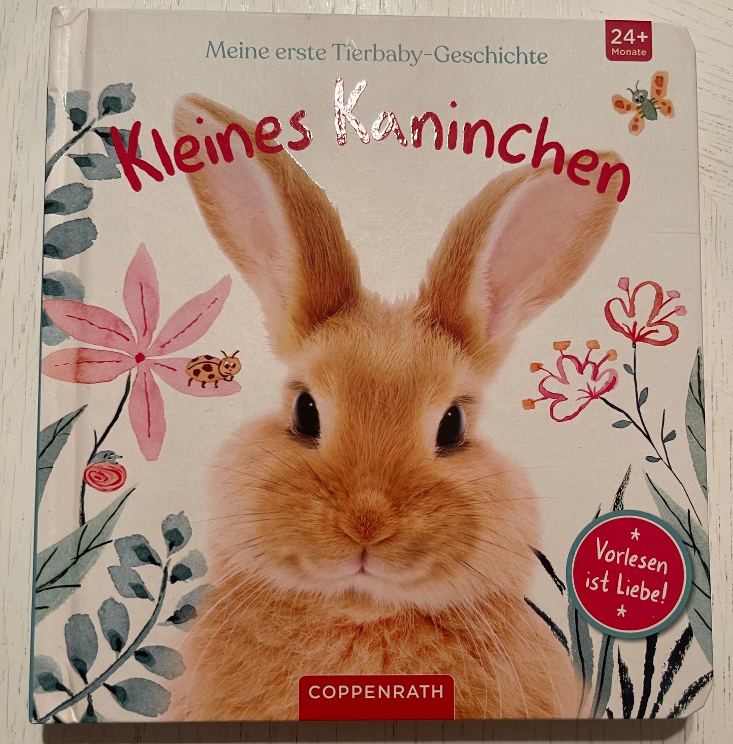 Pappbilderbuch Kleines Kaninchen